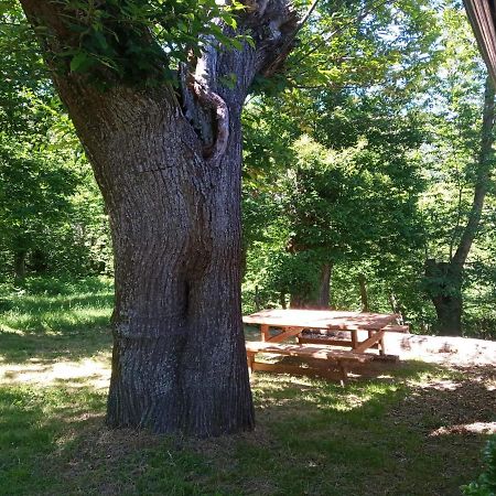 Entrecinsa Casa De Anama 빌라 외부 사진