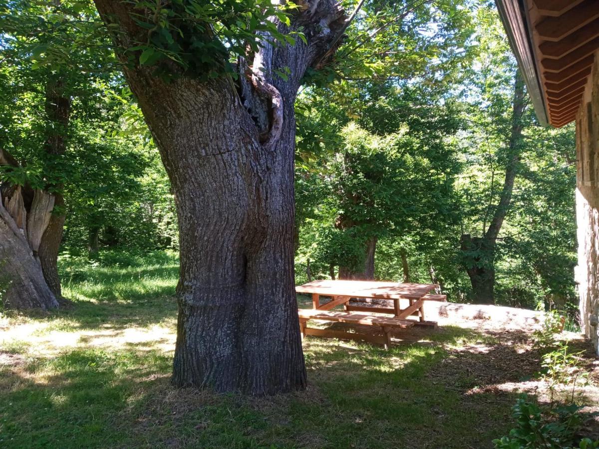 Entrecinsa Casa De Anama 빌라 외부 사진